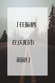 任振鹤在庆阳市调研