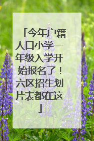 今年户籍人口小学一年级入学开始报名了！六区招生划片表都在这