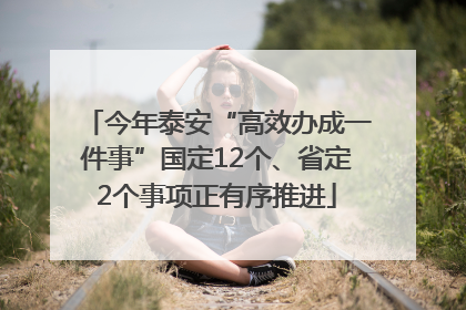 今年泰安“高效办成一件事”国定12个、省定2个事项正有序推进