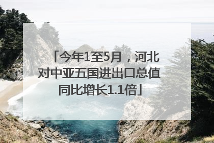 今年1至5月，河北对中亚五国进出口总值同比增长1.1倍