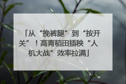 从“挽裤腿”到“按开关”！高青稻田插秧“人机大战”效率拉满