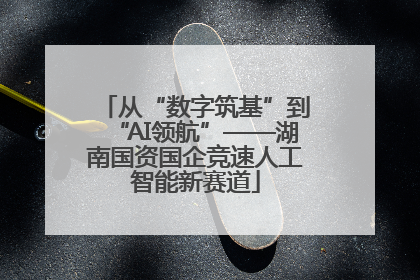 从“数字筑基”到“AI领航”——湖南国资国企竞速人工智能新赛道