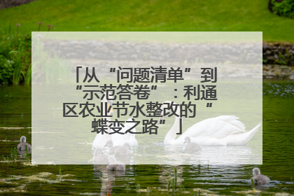 从“问题清单”到“示范答卷”：利通区农业节水整改的“蝶变之路”