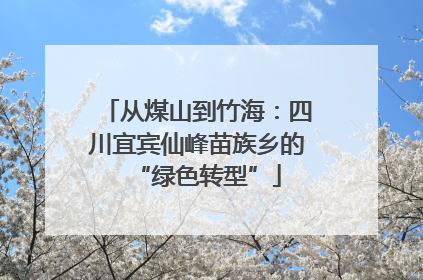 从煤山到竹海：四川宜宾仙峰苗族乡的“绿色转型”