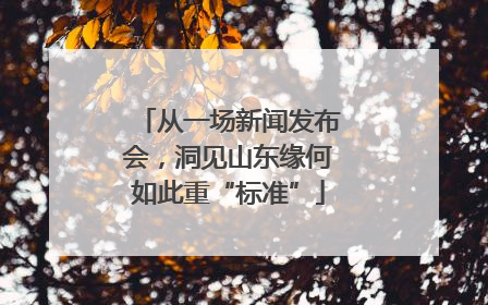 从一场新闻发布会，洞见山东缘何如此重“标准”