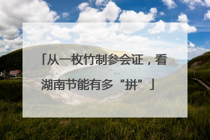 从一枚竹制参会证，看湖南节能有多“拼”
