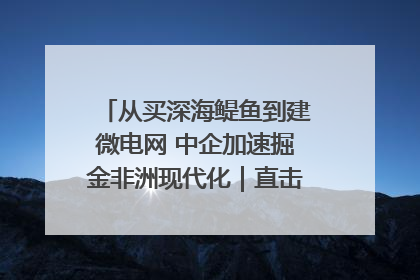 从买深海鳀鱼到建微电网 中企加速掘金非洲现代化｜直击中非经贸博览会