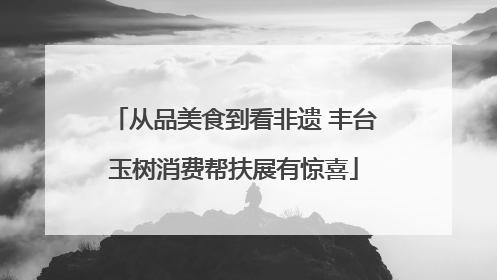 从品美食到看非遗 丰台玉树消费帮扶展有惊喜