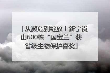 从濒危到绽放！新宁崀山600株“国宝兰”获省级生物保护嘉奖