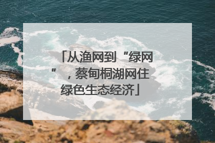 从渔网到“绿网”，蔡甸桐湖网住绿色生态经济