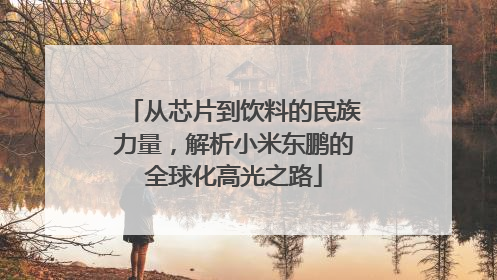 从芯片到饮料的民族力量，解析小米东鹏的全球化高光之路