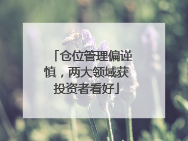 仓位管理偏谨慎，两大领域获投资者看好