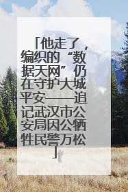 他走了，编织的“数据天网”仍在守护大城平安——追记武汉市公安局因公牺牲民警万松