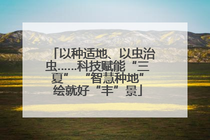 以种适地、以虫治虫……科技赋能“三夏” “智慧种地”绘就好“丰”景