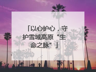 以心护心，守护雪域高原“生命之脉”