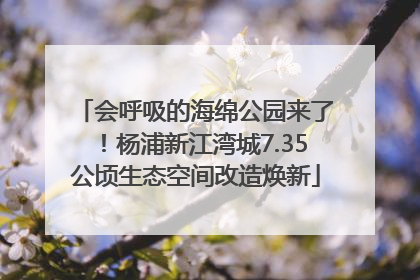 会呼吸的海绵公园来了！杨浦新江湾城7.35公顷生态空间改造焕新