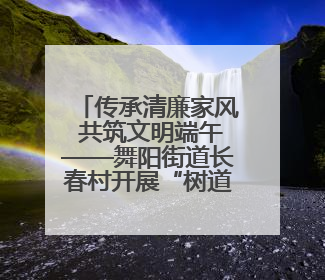 传承清廉家风 共筑文明端午——舞阳街道长春村开展“树道德新风 扬端午文化”主题活动