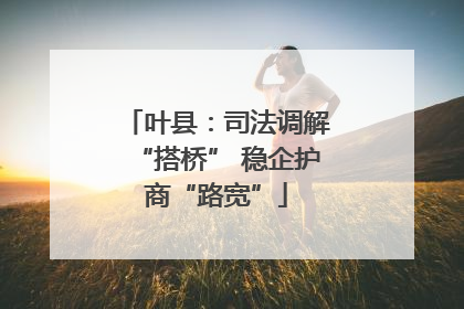叶县：司法调解“搭桥” 稳企护商“路宽”