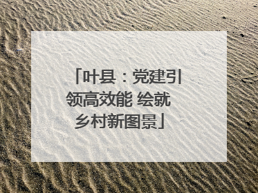 叶县：党建引领高效能 绘就乡村新图景