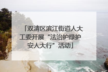 双清区滨江街道人大工委开展“法治护绿护安人大行”活动