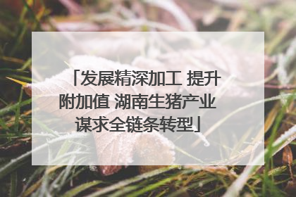 发展精深加工 提升附加值 湖南生猪产业谋求全链条转型