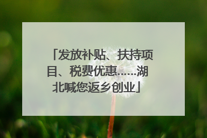 发放补贴、扶持项目、税费优惠……湖北喊您返乡创业