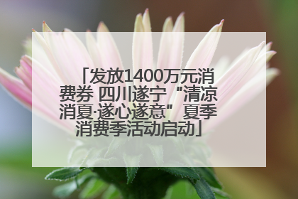 发放1400万元消费券 四川遂宁“清凉消夏·遂心遂意”夏季消费季活动启动