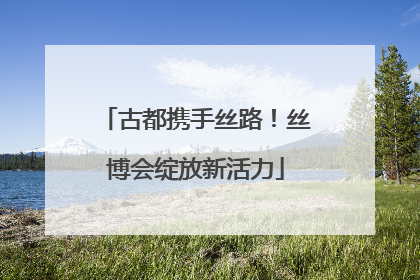 古都携手丝路！丝博会绽放新活力