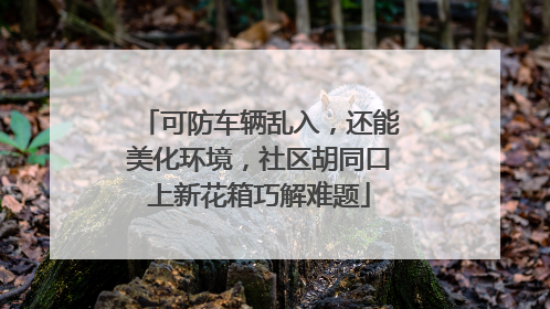 可防车辆乱入，还能美化环境，社区胡同口上新花箱巧解难题