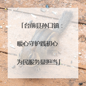 台前县孙口镇：暖心守护践初心 为民服务显担当
