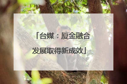 台媒：厦金融合发展取得新成效