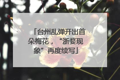 台州乱弹开出首朵梅花，“浙婺现象”再度续写