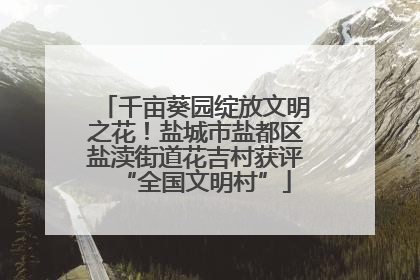千亩葵园绽放文明之花！盐城市盐都区盐渎街道花吉村获评“全国文明村”