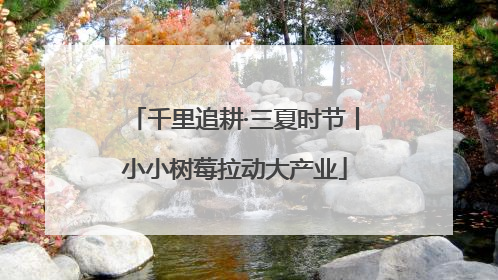千里追耕·三夏时节丨小小树莓拉动大产业