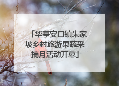 华亭安口镇朱家坡乡村旅游果蔬采摘月活动开幕