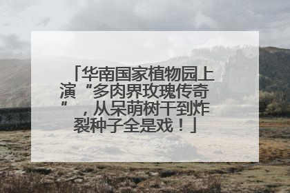 华南国家植物园上演“多肉界玫瑰传奇”，从呆萌树干到炸裂种子全是戏！