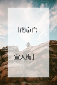 南京官宣入梅