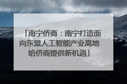 南宁侨商：南宁打造面向东盟人工智能产业高地给侨商提供新机遇