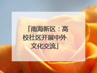 南海新区：高校社区开展中外文化交流