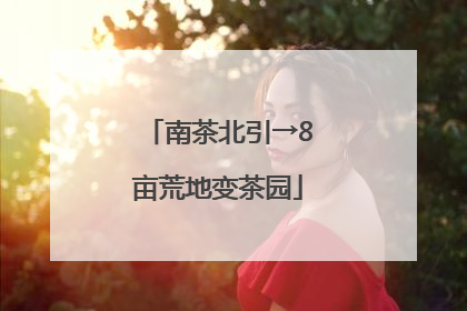 南茶北引→8亩荒地变茶园