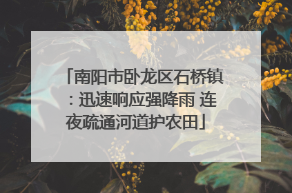 南阳市卧龙区石桥镇：迅速响应强降雨 连夜疏通河道护农田