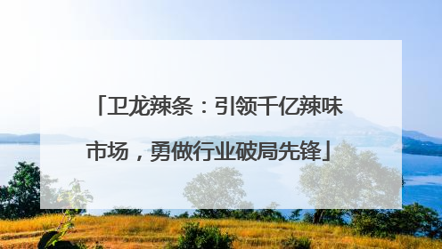 卫龙辣条：引领千亿辣味市场，勇做行业破局先锋