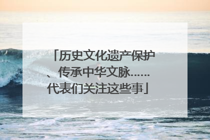 历史文化遗产保护、传承中华文脉……代表们关注这些事