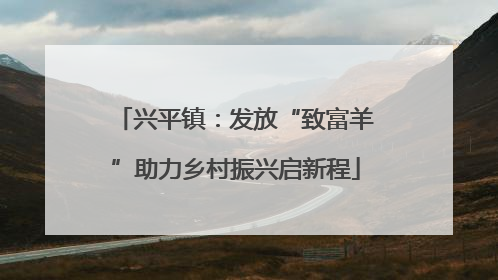 兴平镇：发放“致富羊”助力乡村振兴启新程