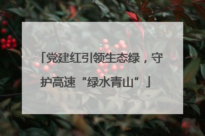 党建红引领生态绿，守护高速“绿水青山”