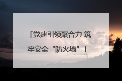 党建引领聚合力 筑牢安全“防火墙”