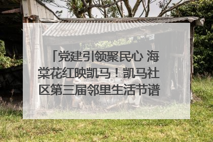 党建引领聚民心 海棠花红映凯马！凯马社区第三届邻里生活节谱写幸福新篇章