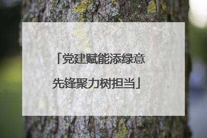 党建赋能添绿意 先锋聚力树担当