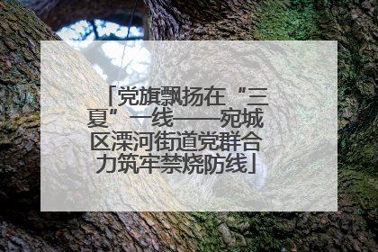 党旗飘扬在“三夏”一线——宛城区溧河街道党群合力筑牢禁烧防线