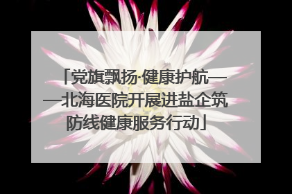 党旗飘扬·健康护航——北海医院开展进盐企筑防线健康服务行动